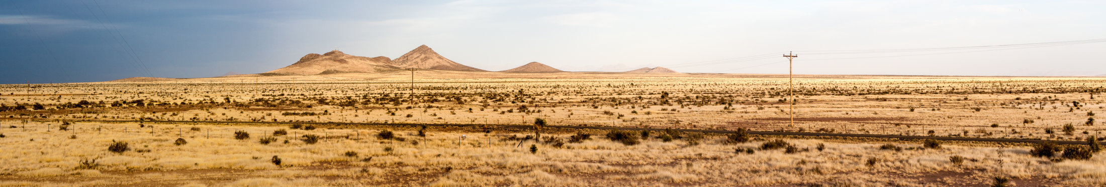 Grassland in New Mexico